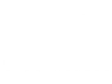 TAS Courier Logo
